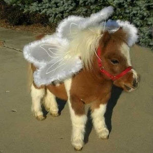 Meet your Posher, Melanie